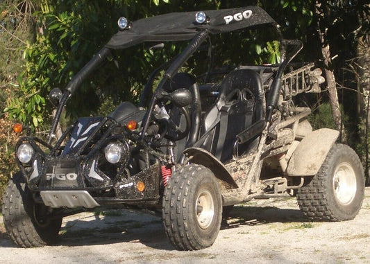 PGO Quadzilla Bugrider 250cc Buggy 1 front wheel and tyre